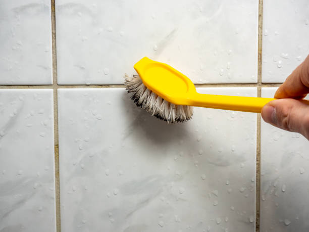 Best Home Mold Removal  in Amite City, LA