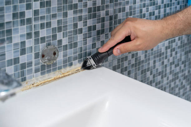 Best Office Mold Removal Services  in Amite City, LA